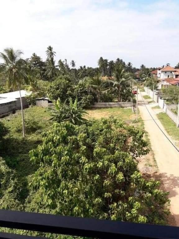 Jasmine Apartments Negombo Eksteriør billede